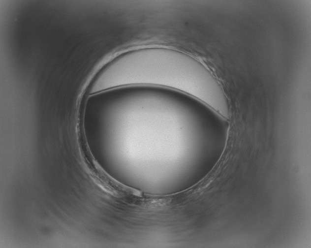 X0000075350056200609080823