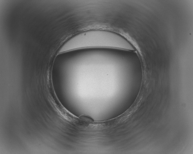 X0000075350057200609080823
