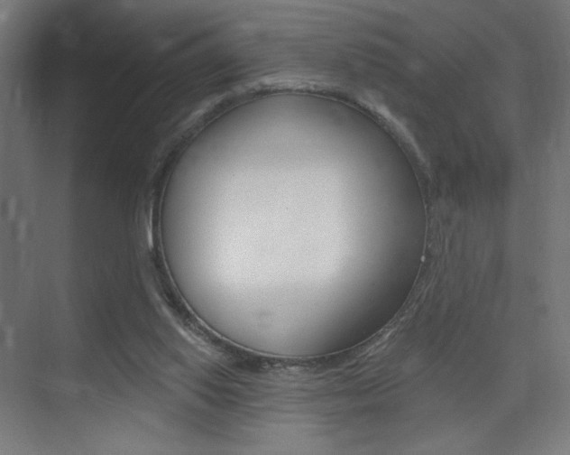 X0000075350062200609080823
