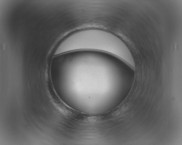 X0000075350064200609080823