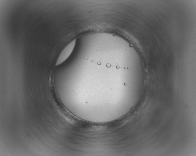 X0000075350065200609080823