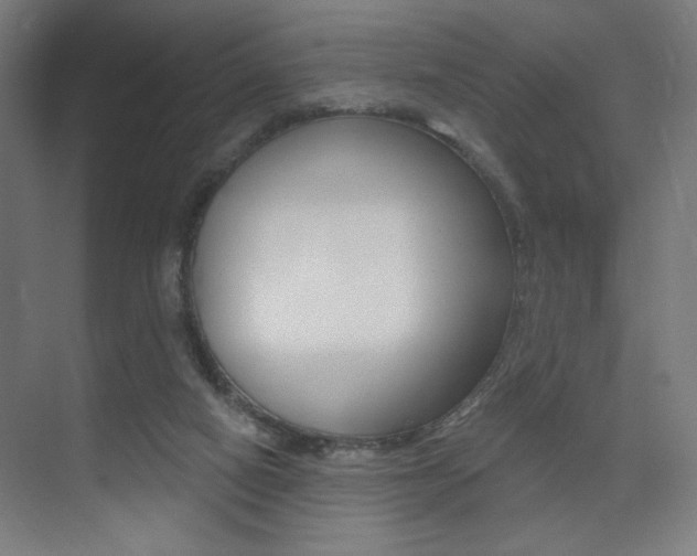 X0000075350066200609080823