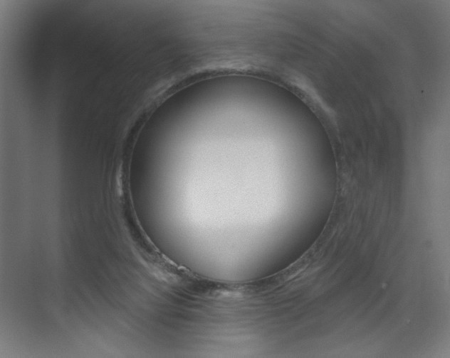 X0000075350068200609080823