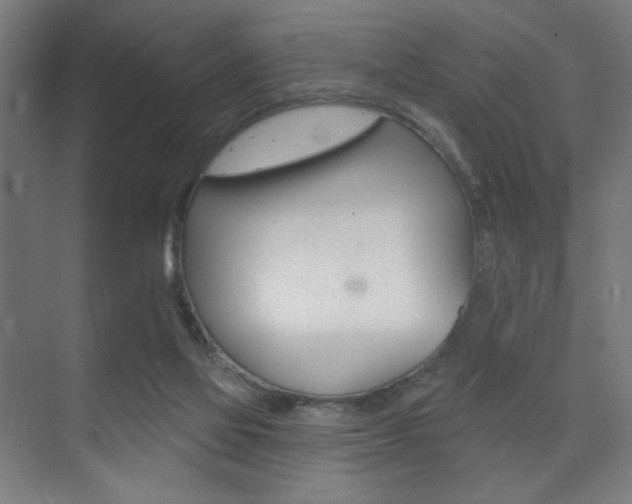 X0000075350069200609080823