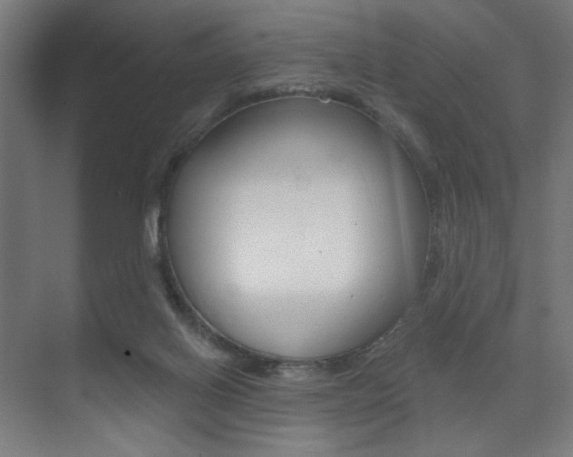 X0000075350070200609080823