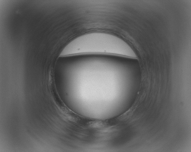 X0000075350074200609080823