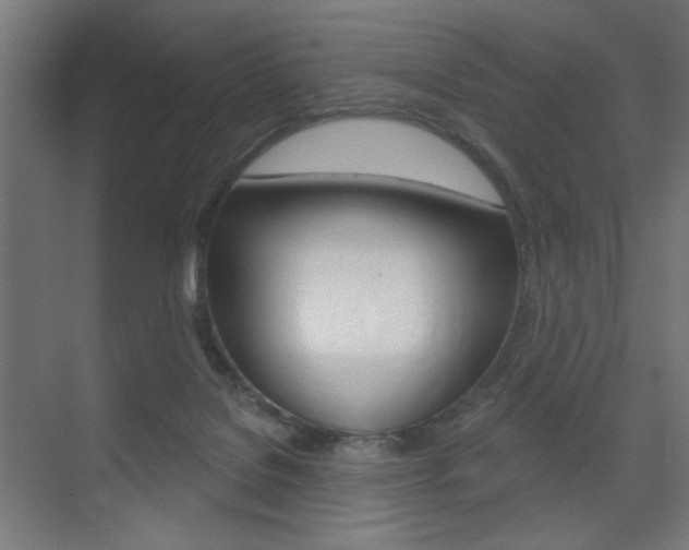 X0000075350076200609080823