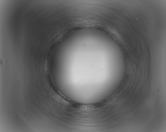 X0000075350077200609080823