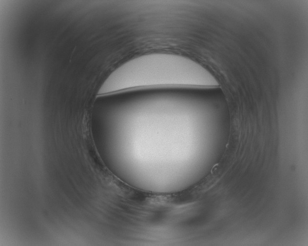 X0000075350079200609080823