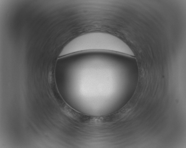 X0000075350080200609080823