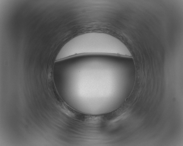 X0000075350081200609080824