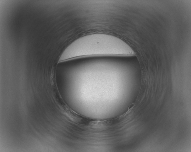X0000075350082200609080824