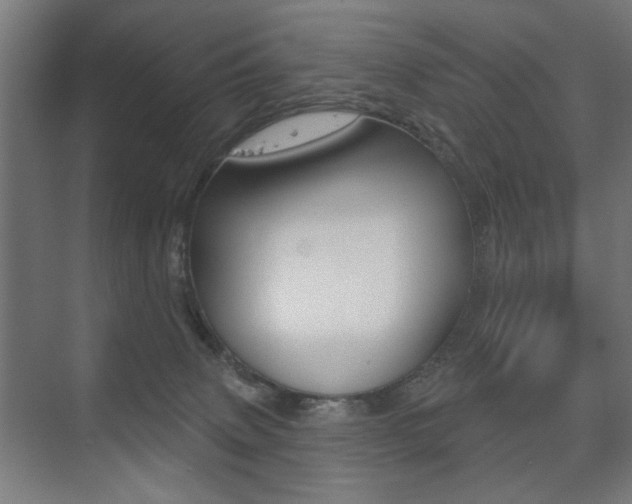X0000075350083200609080824