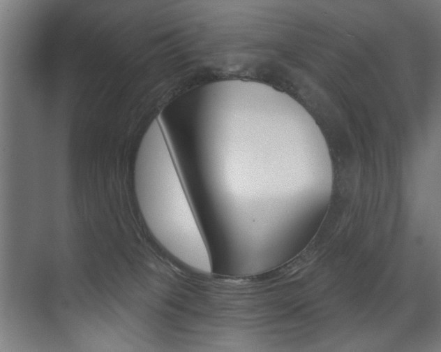 X0000075350085200609080824