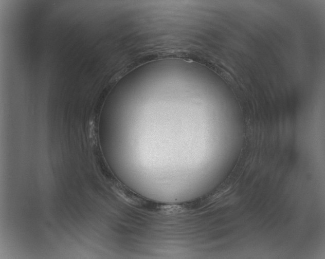 X0000075350087200609080824