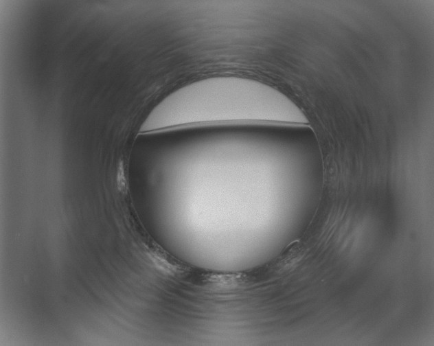 X0000075350089200609080824
