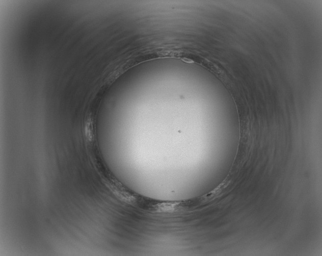 X0000075350090200609080824