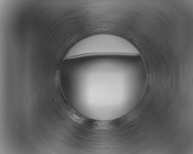 X0000075350093200609080824