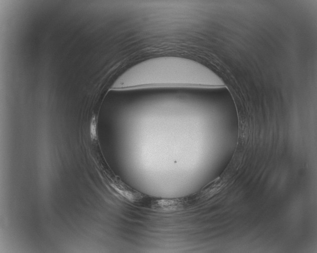 X0000075350095200609080824