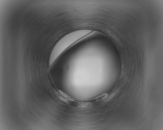 X0000075350096200609080824