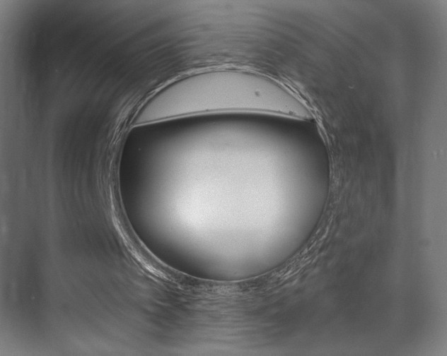 X0000075350097200609080823
