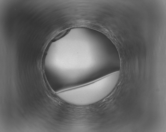 X0000075350099200609080823