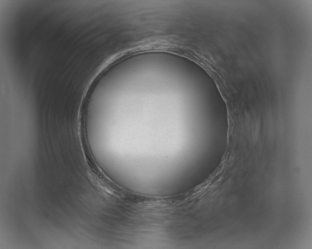 X0000075350100200609080823