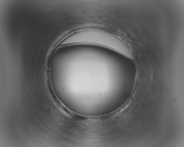 X0000075350101200609080823
