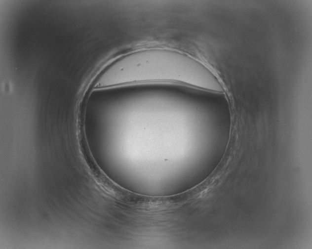 X0000075350103200609080823