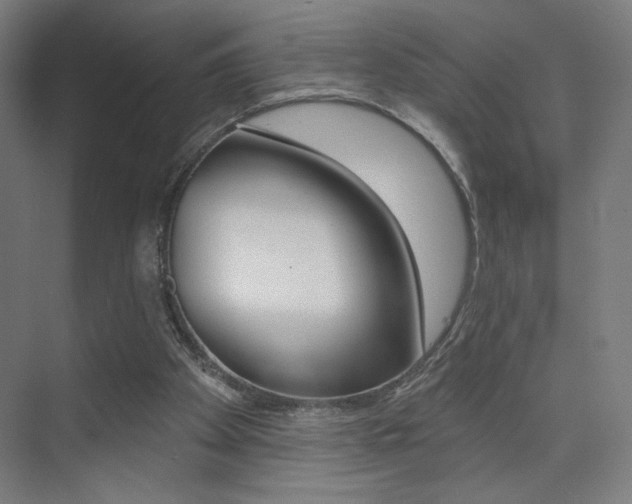 X0000075350105200609080823