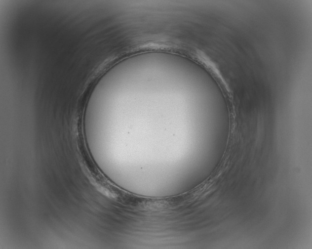 X0000075350106200609080823