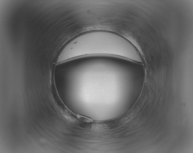 X0000075350109200609080823