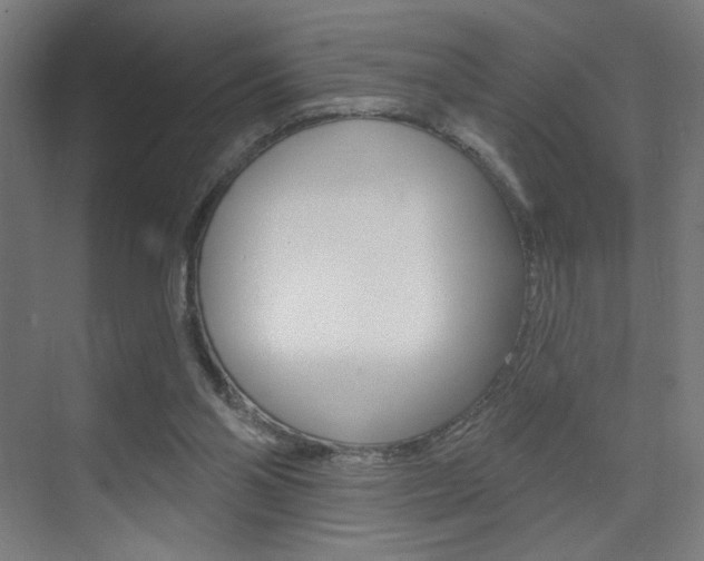 X0000075350110200609080823