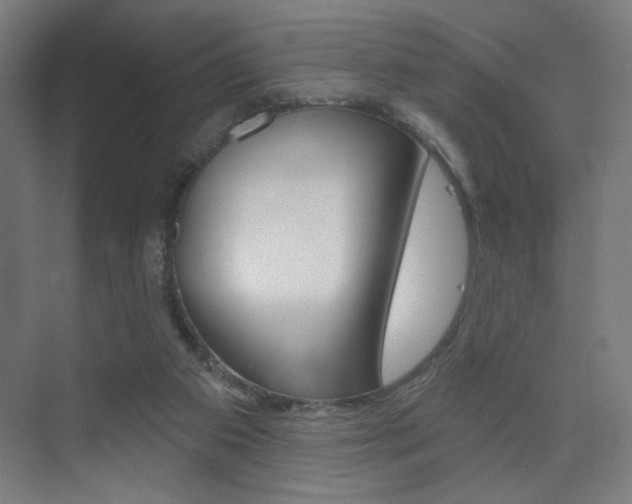 X0000075350113200609080823