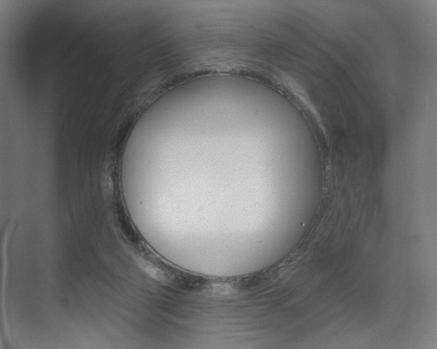 X0000075350114200609080823