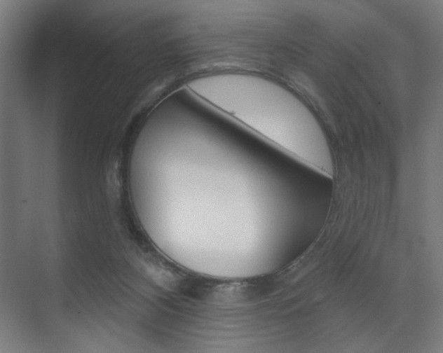 X0000075350116200609080823