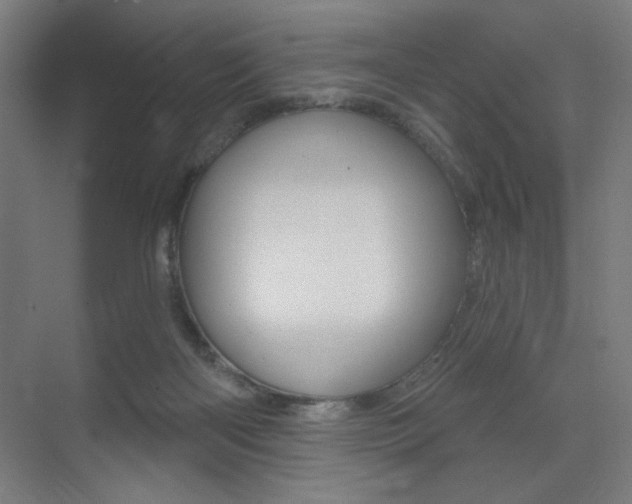X0000075350122200609080823