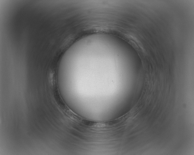 X0000075350123200609080823