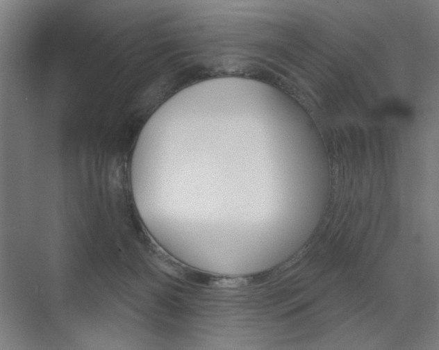 X0000075350126200609080822