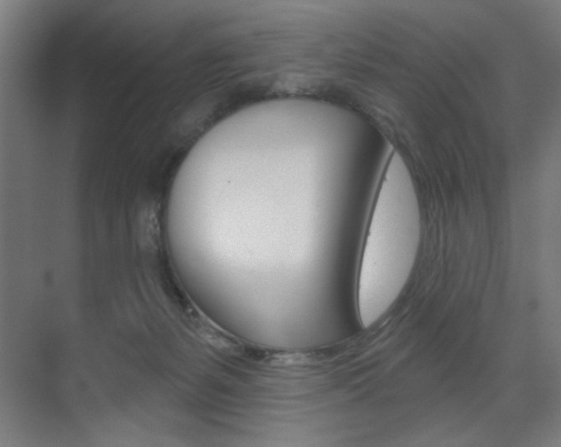X0000075350127200609080822