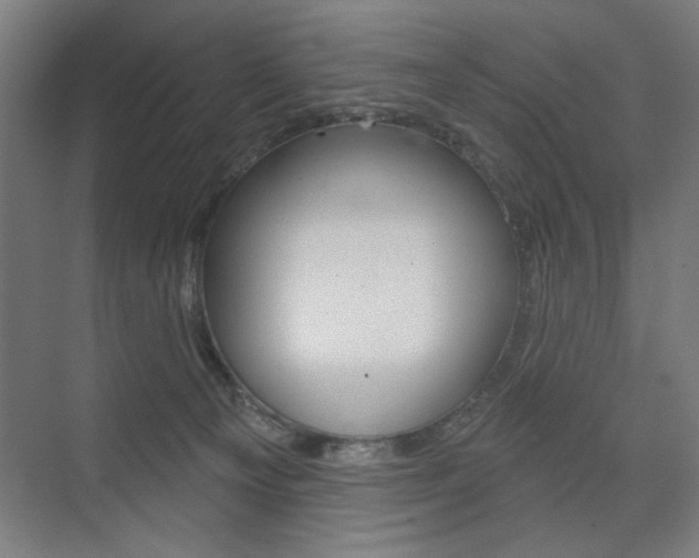 X0000075350129200609080822