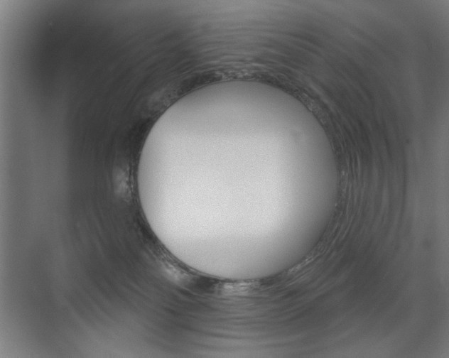 X0000075350134200609080822