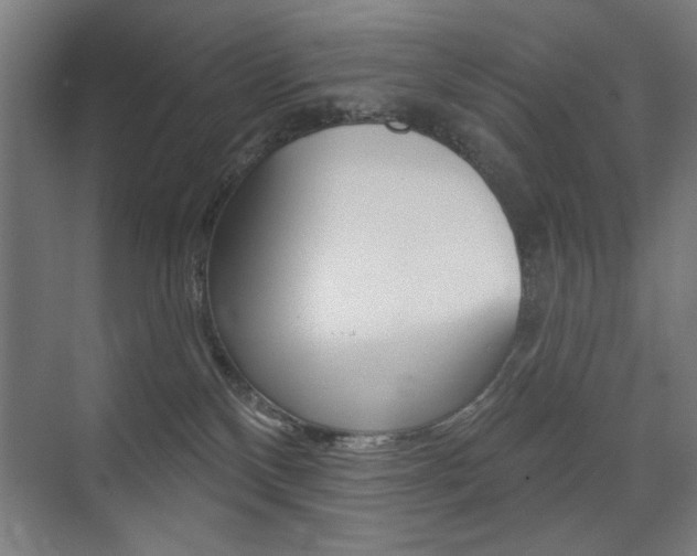 X0000075350136200609080822