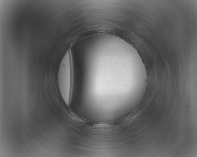 X0000075350137200609080822