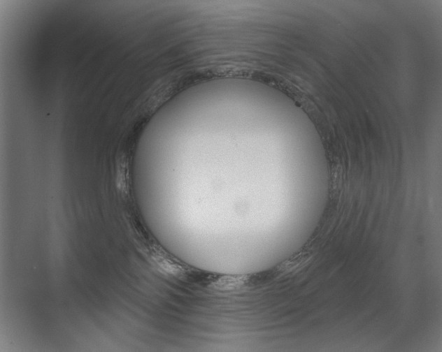 X0000075350138200609080822