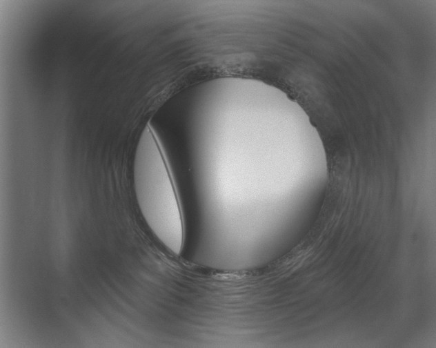 X0000075350139200609080822