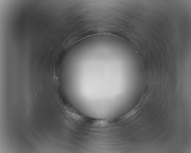 X0000075350140200609080822