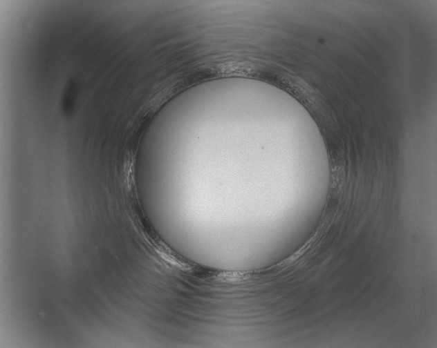 X0000075350142200609080822