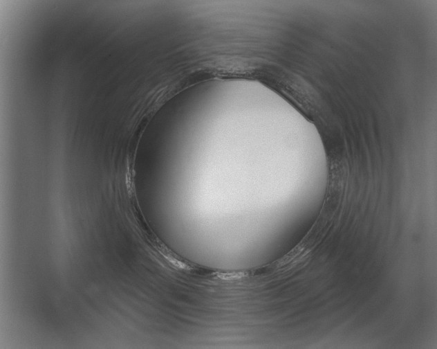 X0000075350143200609080822