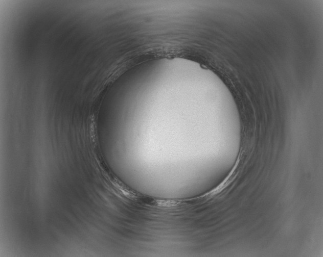 X0000075350144200609080822